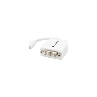 Mini DisplayPort to DVI Adapter (No Audio Support)