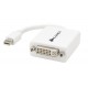 Mini DisplayPort to DVI Adapter (No Audio Support)